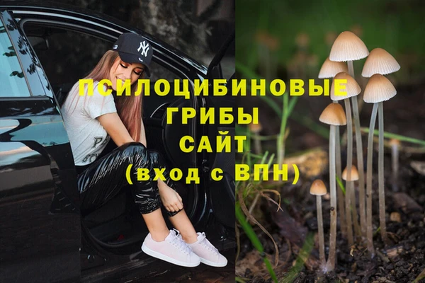 прущие крисы Богородск